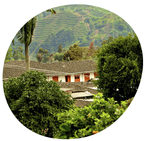 Eje Cafetero